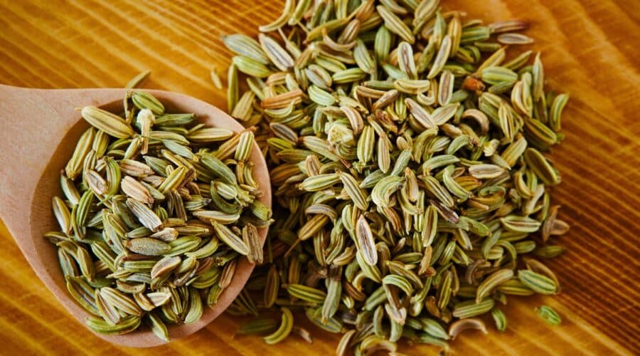 Fennel Seed