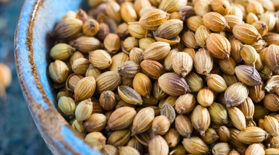 Indian coriander seed