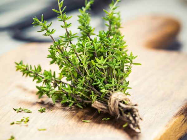 Thyme France