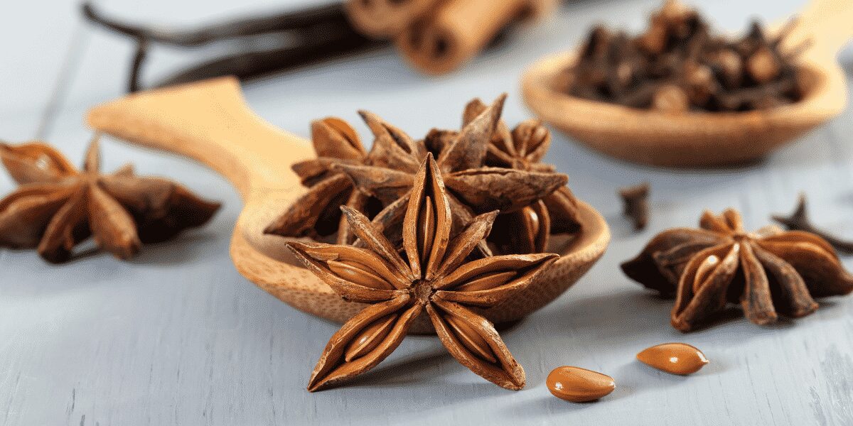 Star anise the beautiful spice