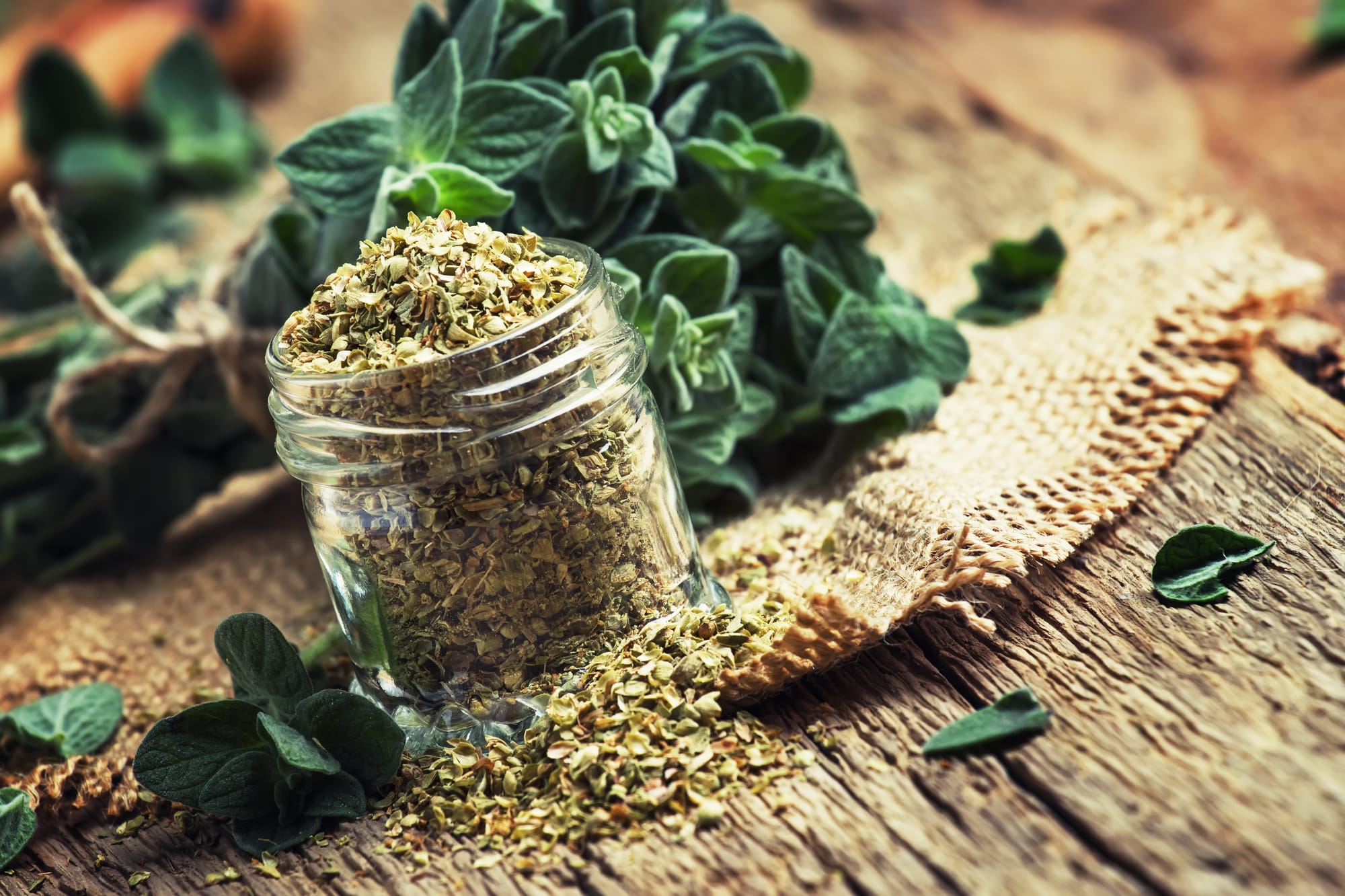 The Surprising Health Benefits of Oregano - Spice Station