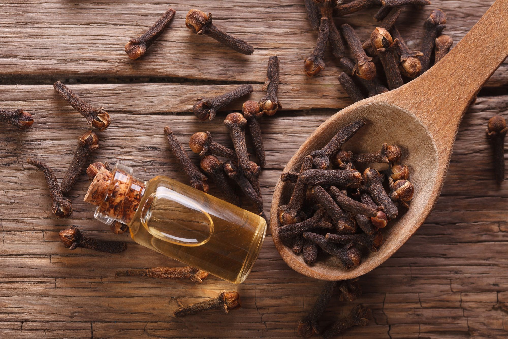 Clove spice and oil