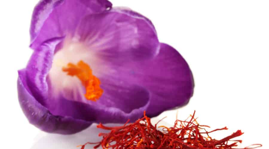 Saffron