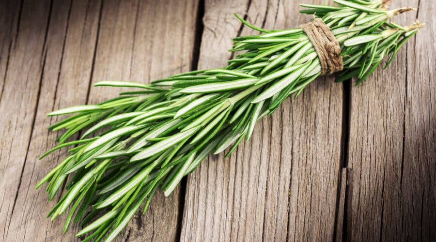 rosemary sprig on aged wood